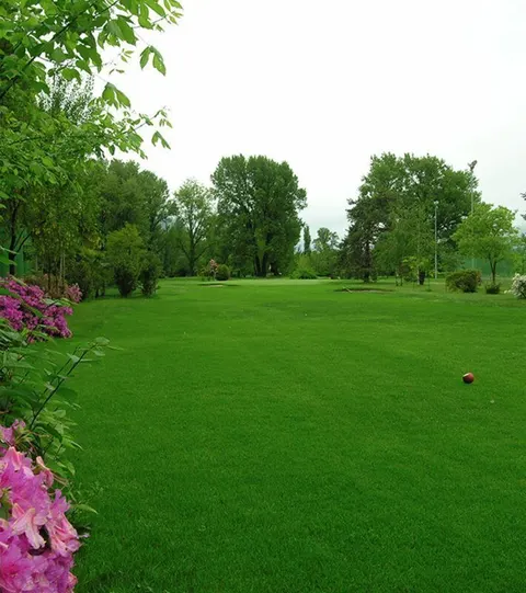 Golf Club Locarno — Hotel La Palma au Lac
