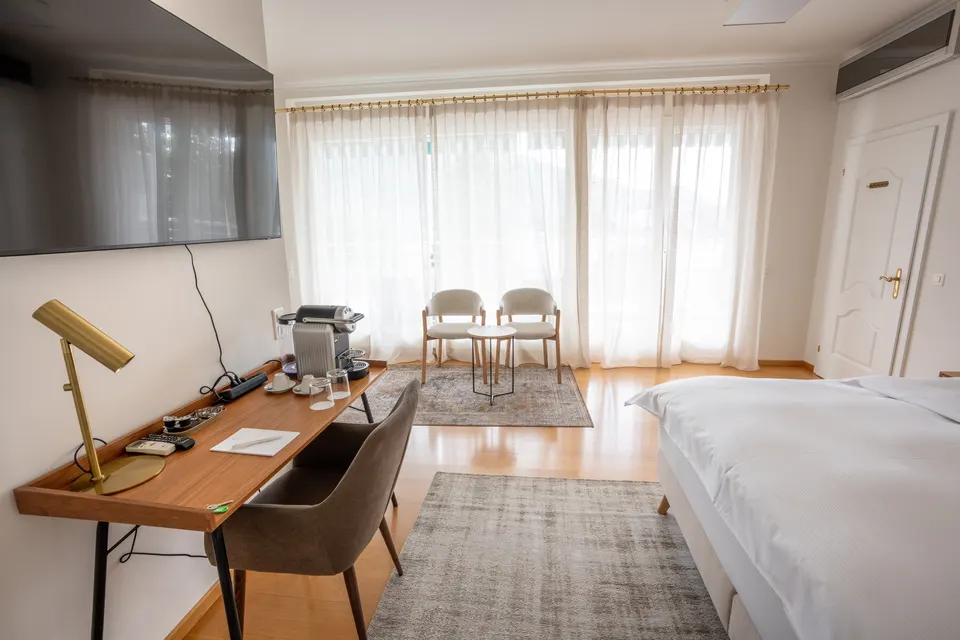 Studio con vista lago — Hotel La Palma au Lac