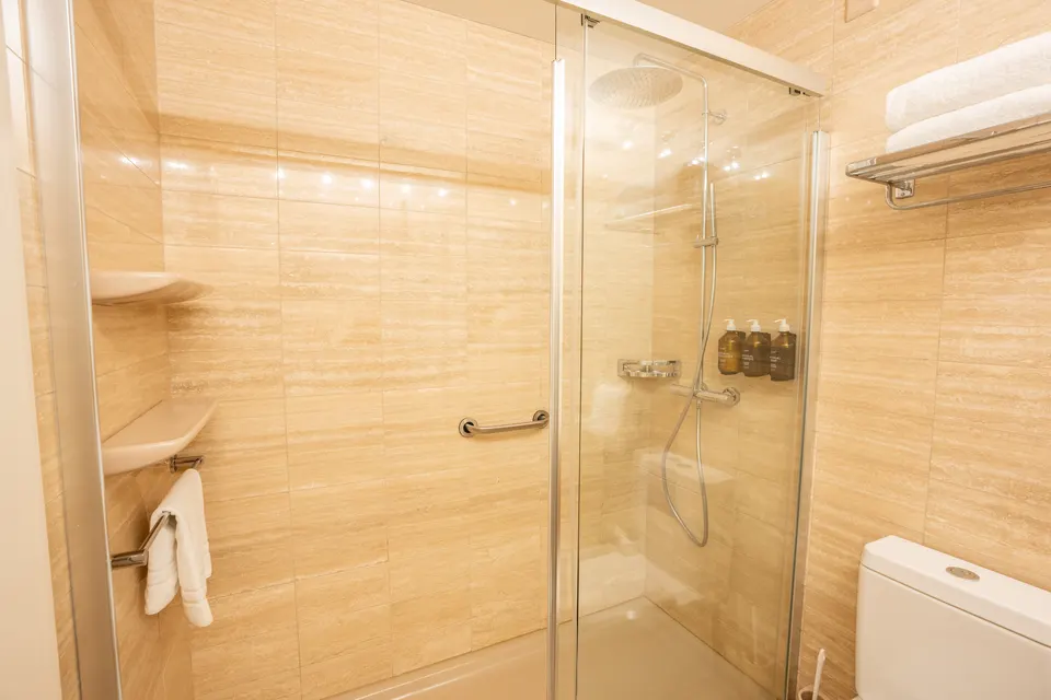 Studio con vista lago — Hotel La Palma au Lac
