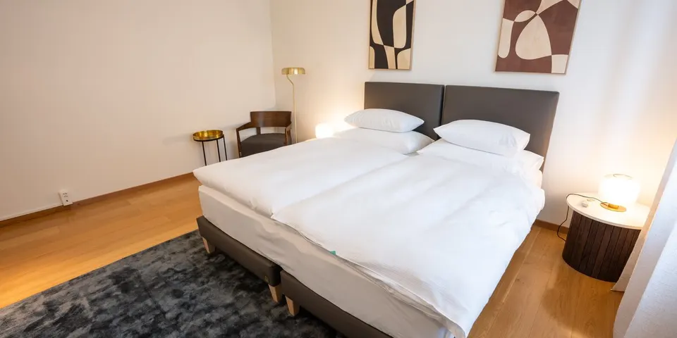 Appartement classique avec vue sur le lac — Hotel La Palma au Lac