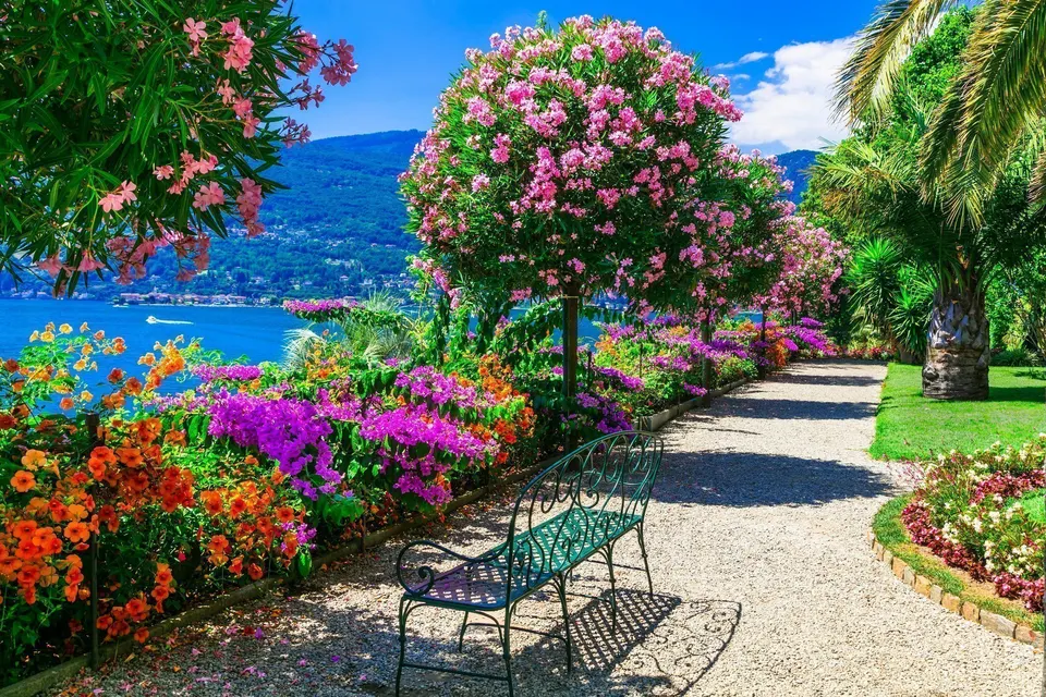 Unforgettable holidays on Lake Maggiore in Locarno — Hotel La Palma au Lac