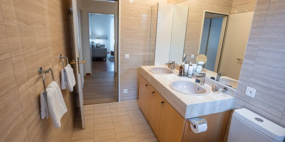 Appartement classique avec vue sur le lac — Hotel La Palma au Lac