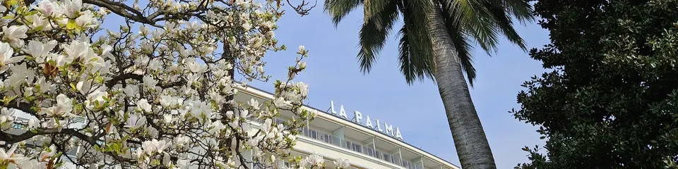 Wellness Retreat (2 nuitées) — Hotel La Palma au Lac