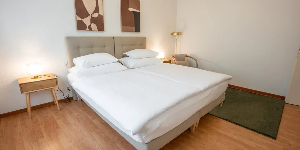 Appartement classique avec vue sur le lac — Hotel La Palma au Lac