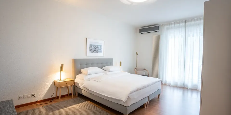 Appartement classique avec vue sur le lac — Hotel La Palma au Lac