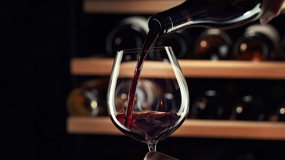 L'excellence des vins de Locarno — Hotel La Palma au Lac