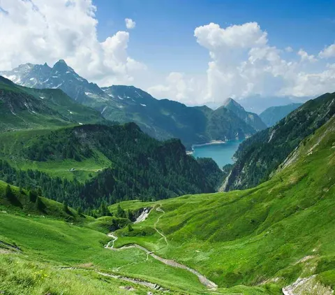 La Prote des Alpes