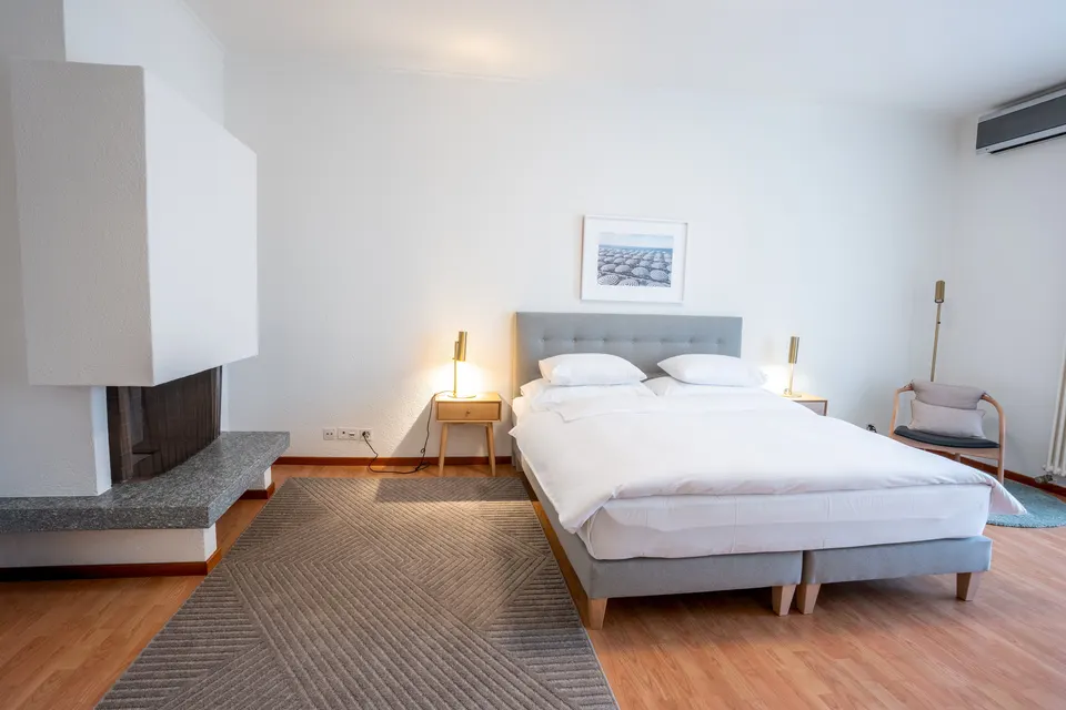 Appartamento classico con vista lago — Hotel La Palma au Lac