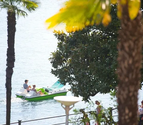 Des Rivages Regorgeant D'une Vegetation Mediterraneenne Luxuriante