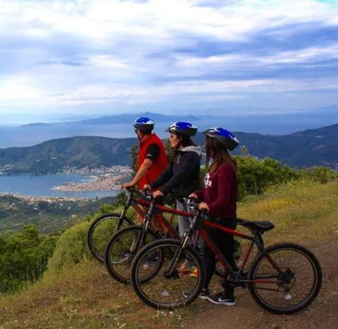2 Wheels Rental — Hotel La Palma au Lac
